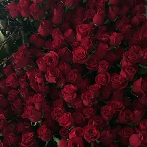 taku_ooooooo의 개인용