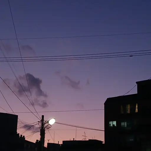 SoftHerb7015의 모델 뜰팁