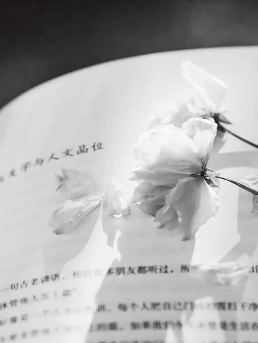 mumei_.914의 先生。
