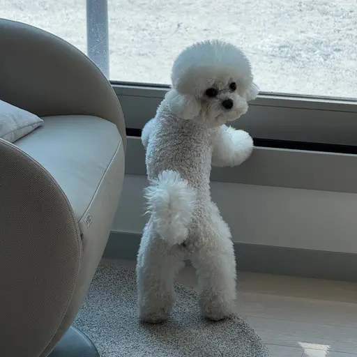 AbsurdOlive5648의 윤정한