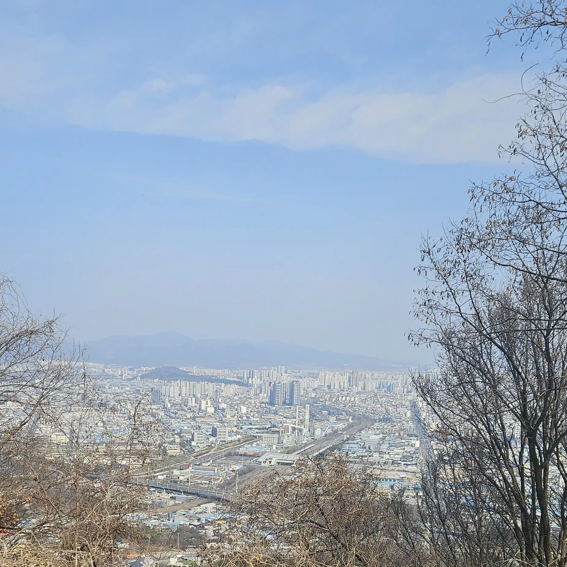 colorfulhuman4444의 당신이 료미인데, 혼수상태?