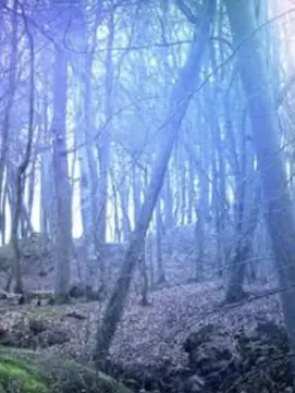 ConvexSlab5286의 大魔法使いと、とある3人。