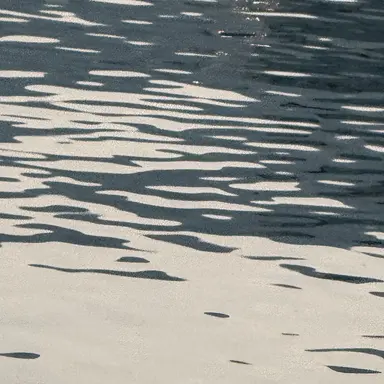 Profile image of 한지성