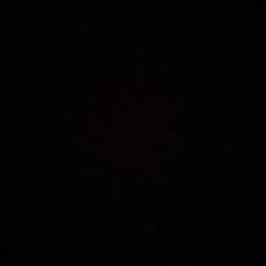 Profile image of 나재민