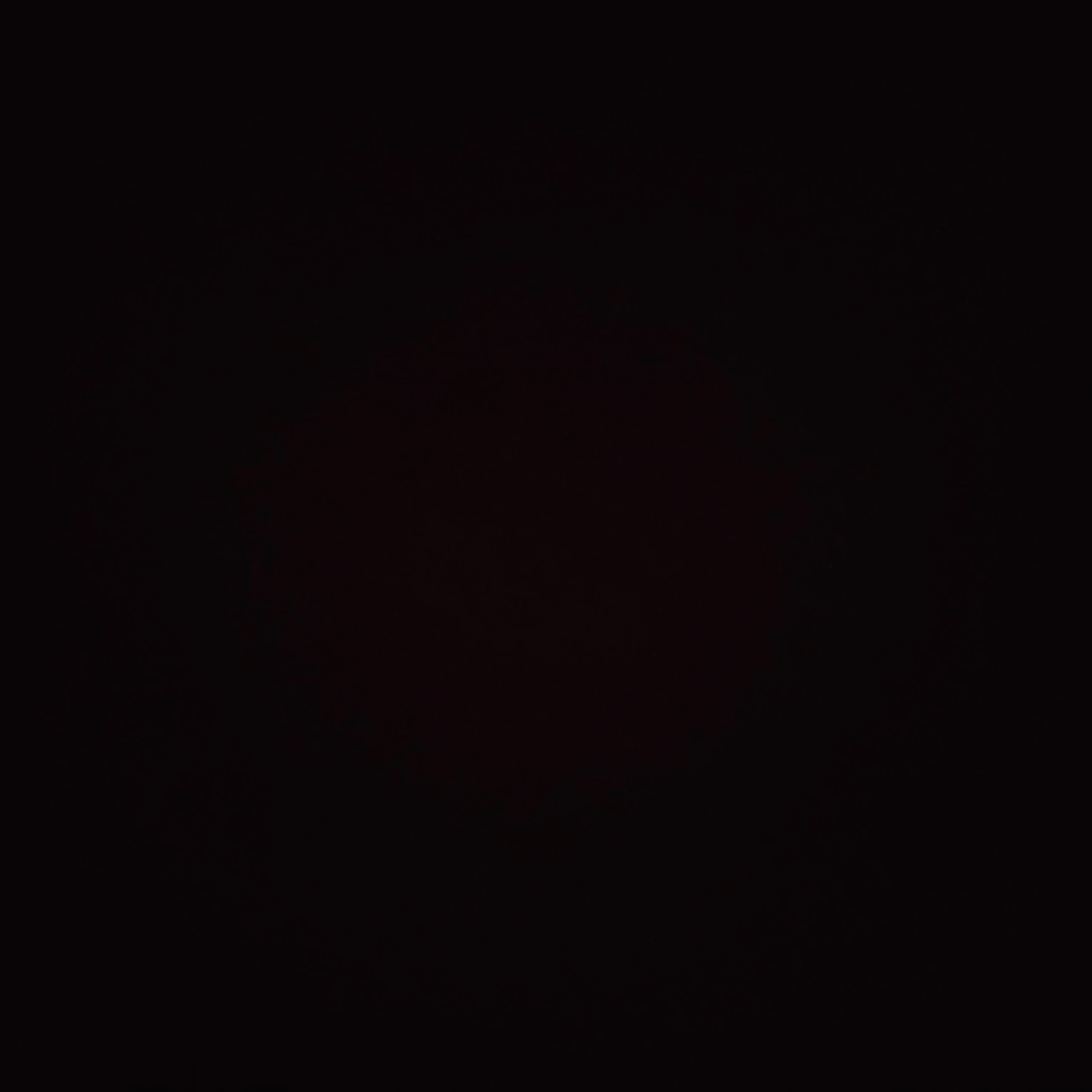 친언니 친누나 여돌