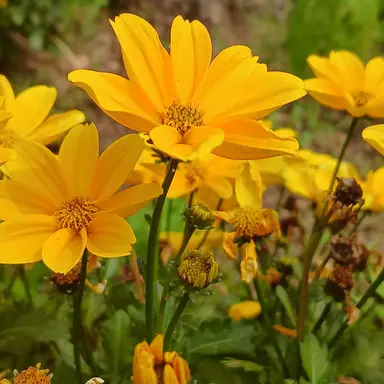 Profile image of 유저