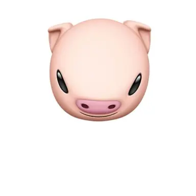 Profile image of 여우