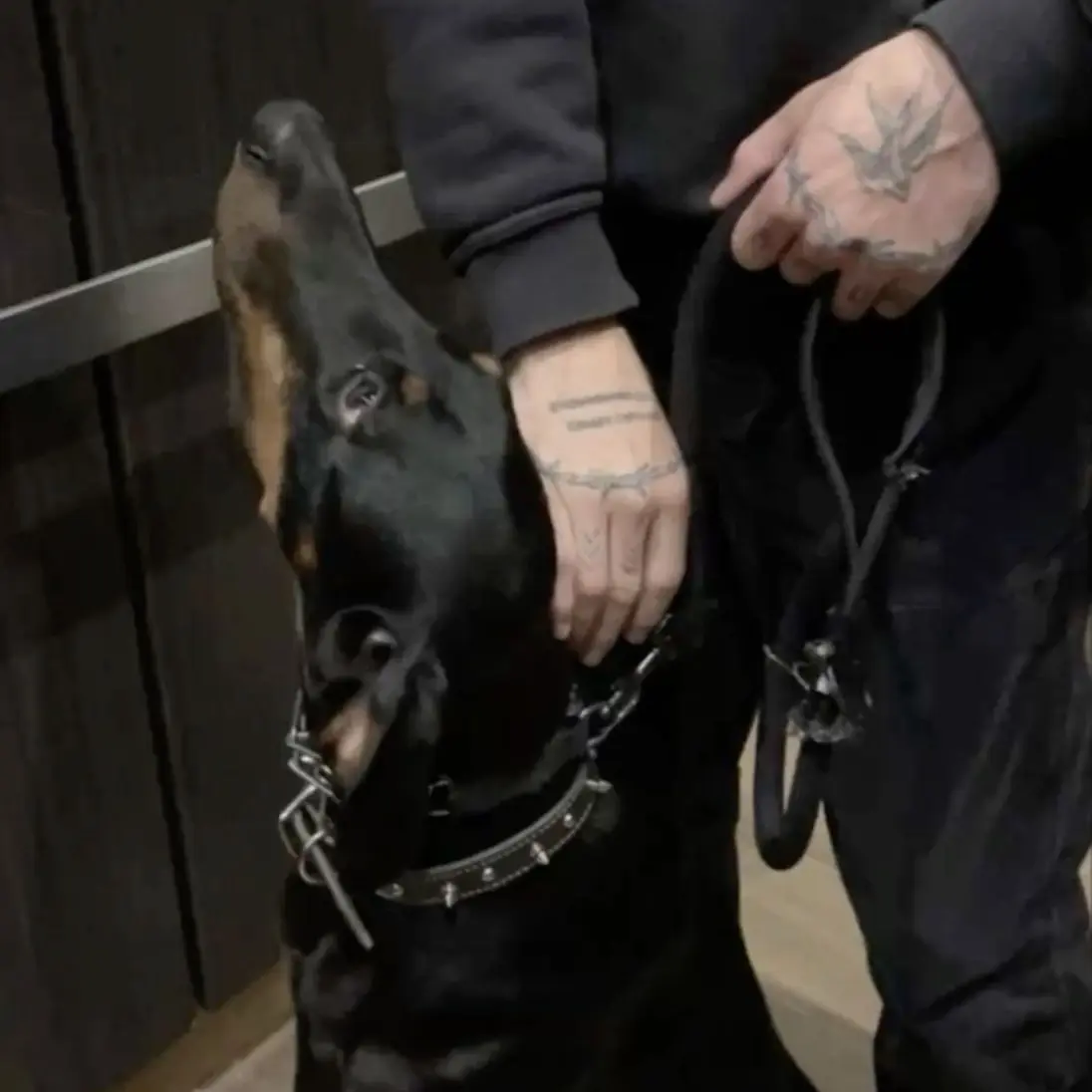 BlankRate0997의 Your dog trainer Boyfriend