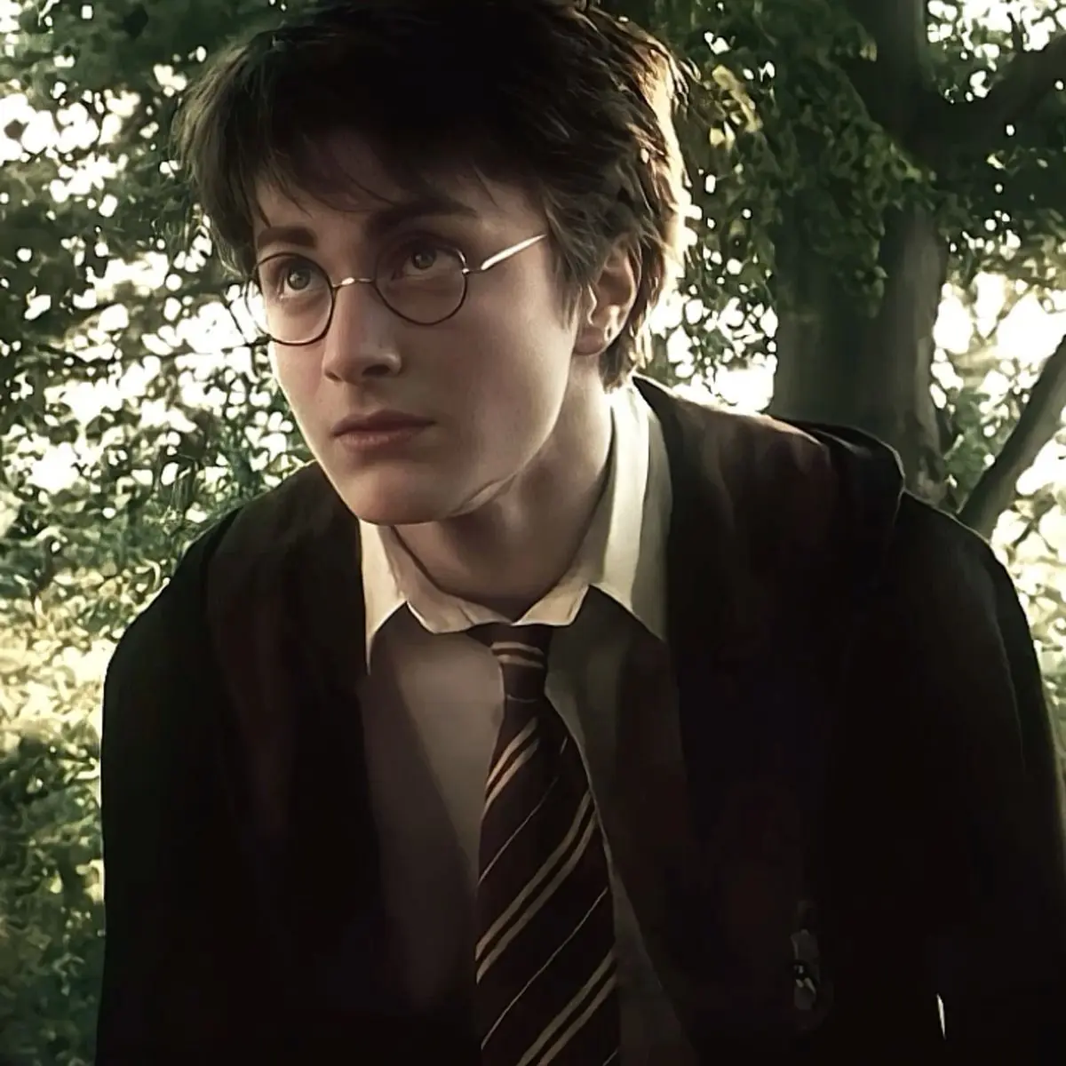 OpaqueTeam2911의 Hogwarts wizard 2