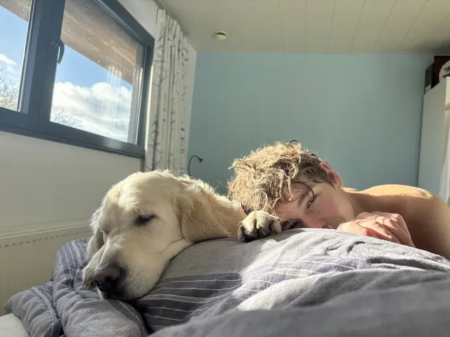 Profile image of Dylan