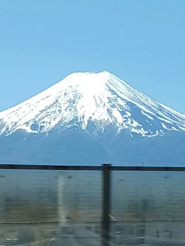 nekonekosasakure의 見せて、君の秘密。