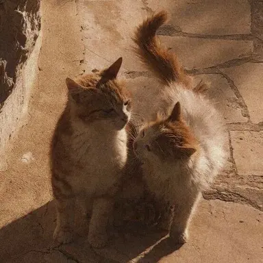 Profile image of 준브레드