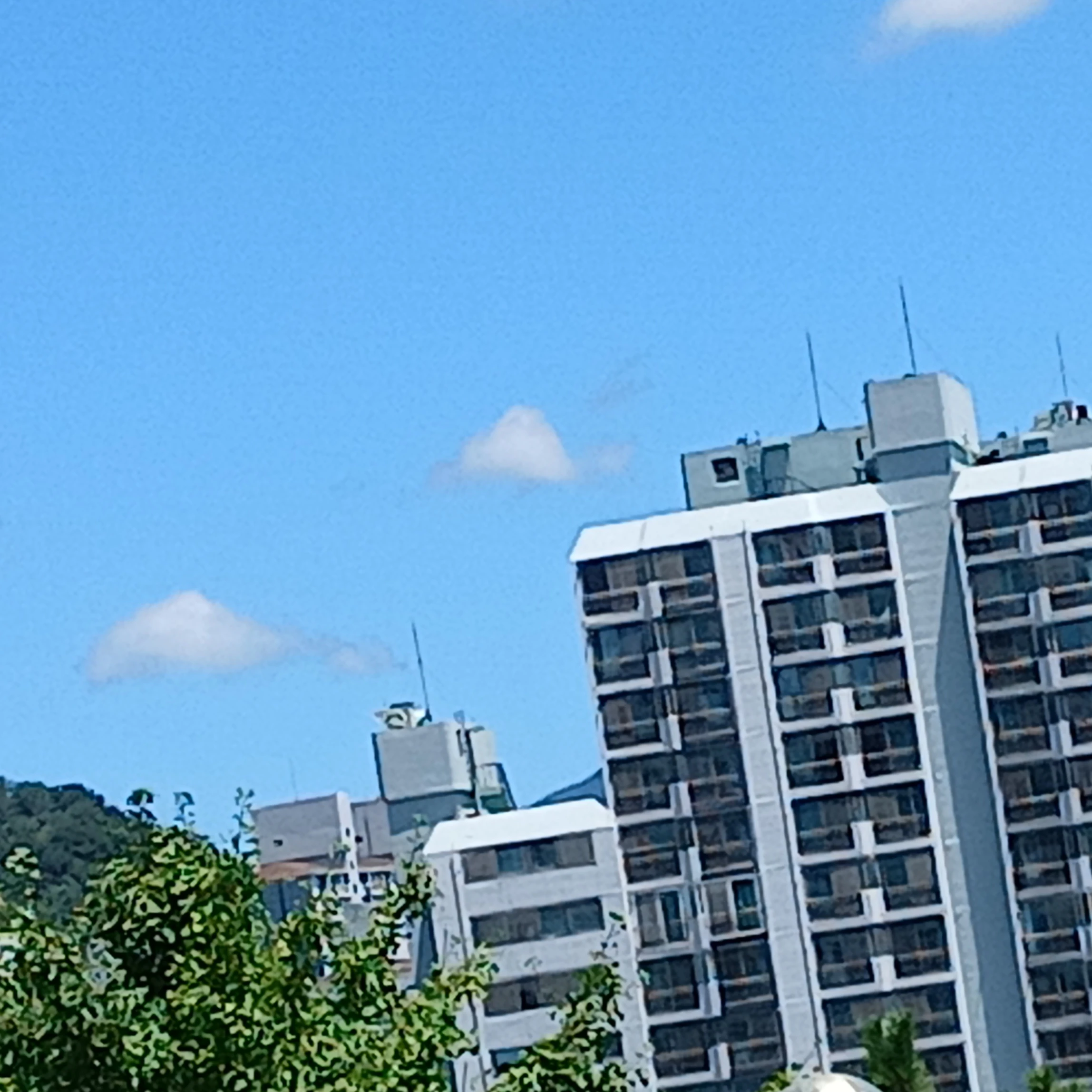 남사친들과 여우