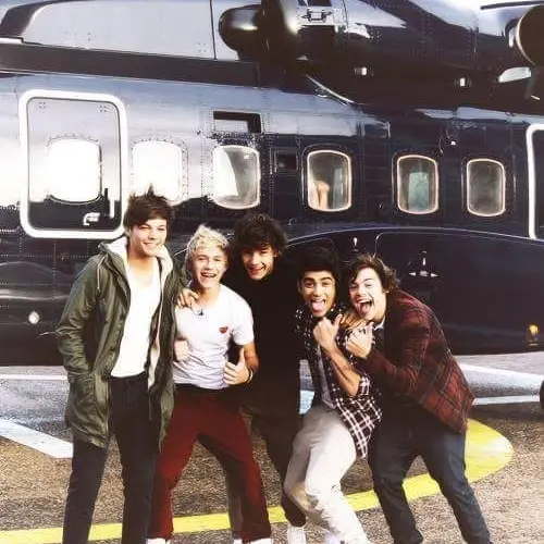 MutedFloss4565의 one direction