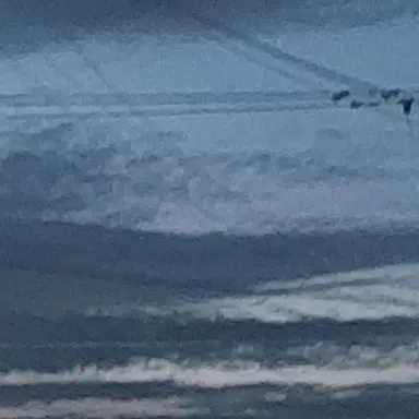 Profile image of 권지용