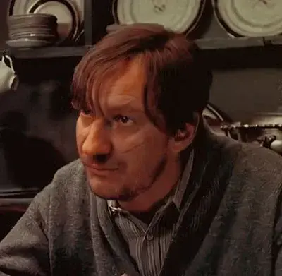 RashEpoch7436의 Remus J Lupin