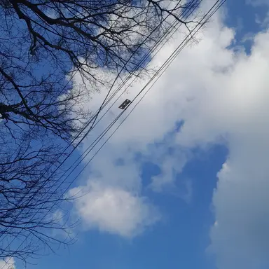 Profile image of 박잠뜰