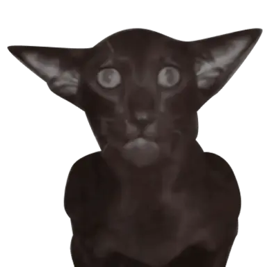 Profile image of 김여우