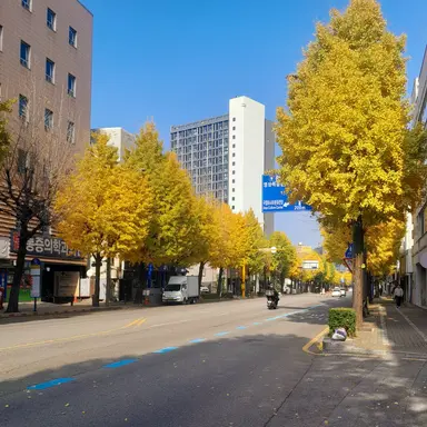 Profile image of 김각별