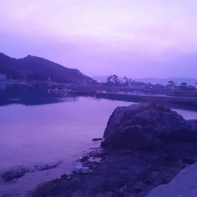 Profile image of 황수현