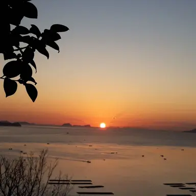 Profile image of 서라더