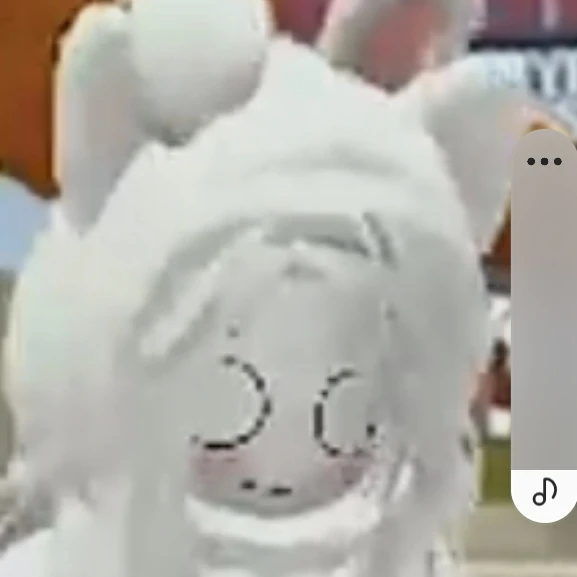 화이트