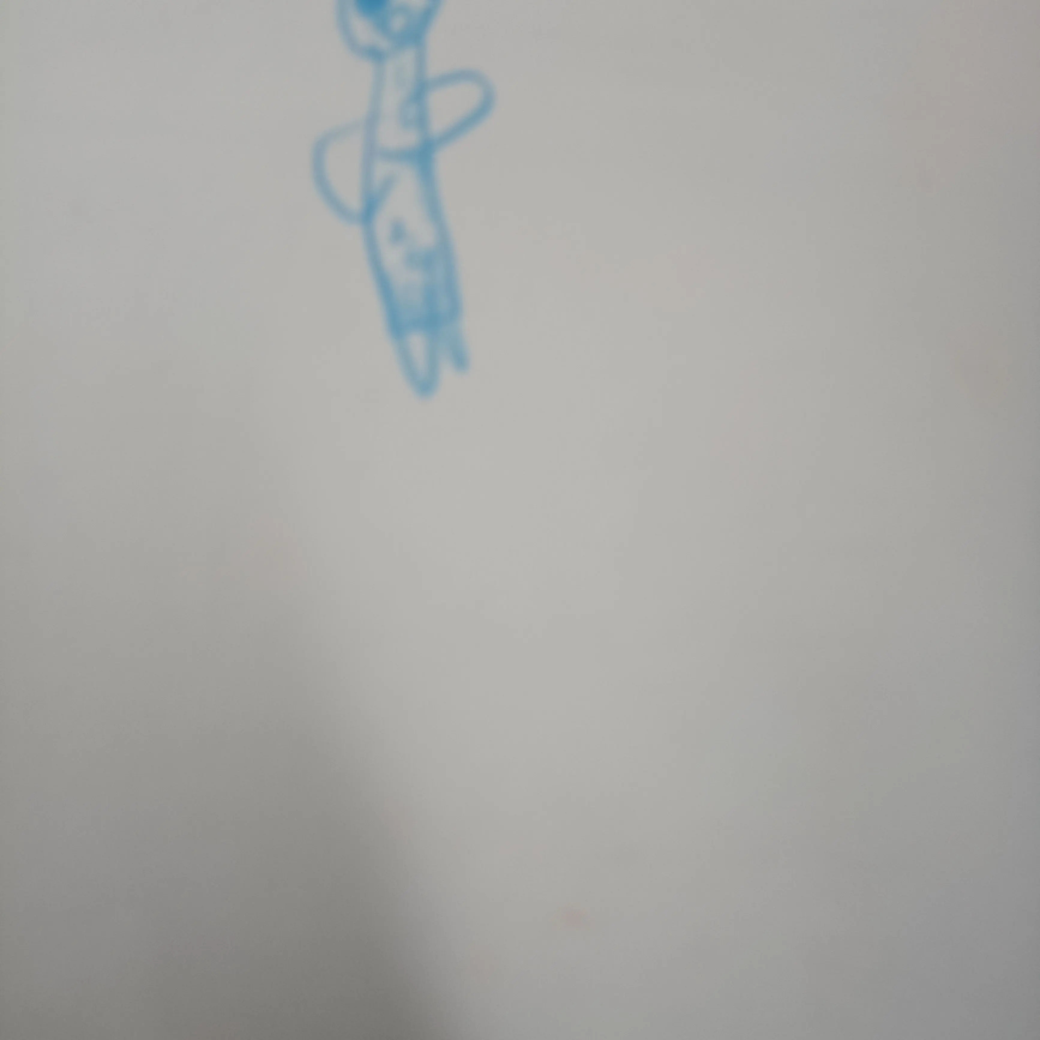 HIAIRBUS의 북한 평양올림픽