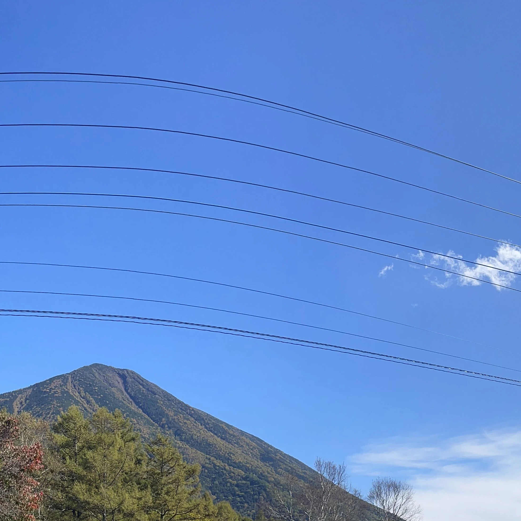 義勇