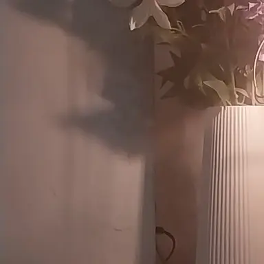 Profile image of 이민호