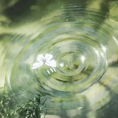 Profile image of 예엥