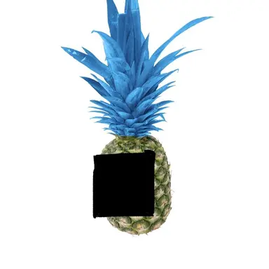 Profile image of とらぷど