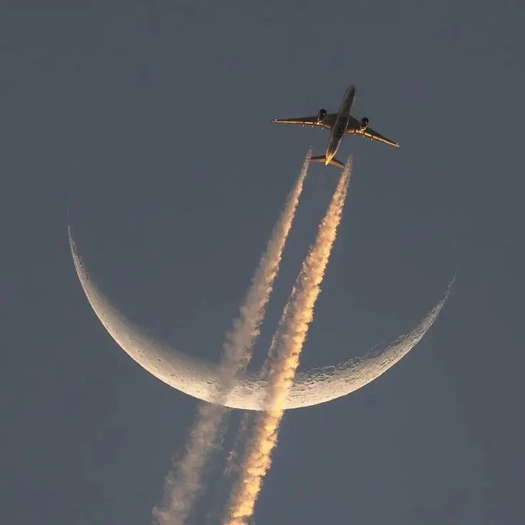 RunnyBarn7736의 베텔기우스