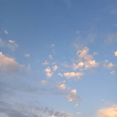 Profile image of 서라더