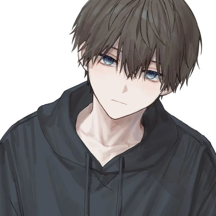 司