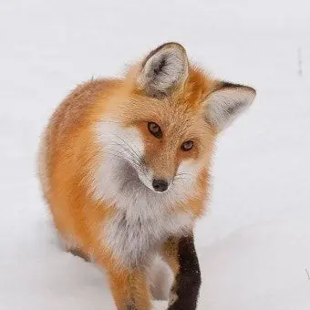 Profile image of 우여은