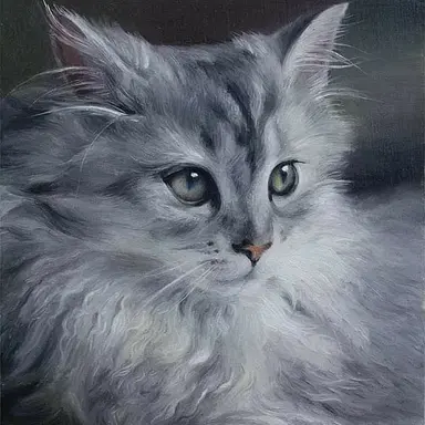 Profile image of 모리