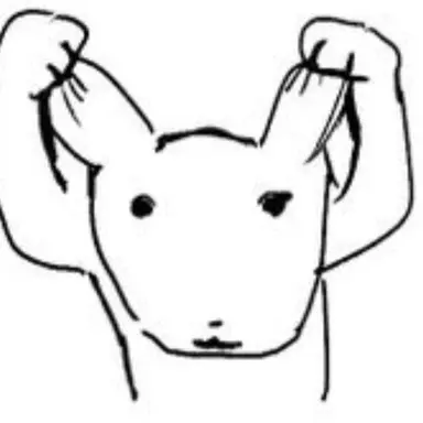 Profile image of 모리