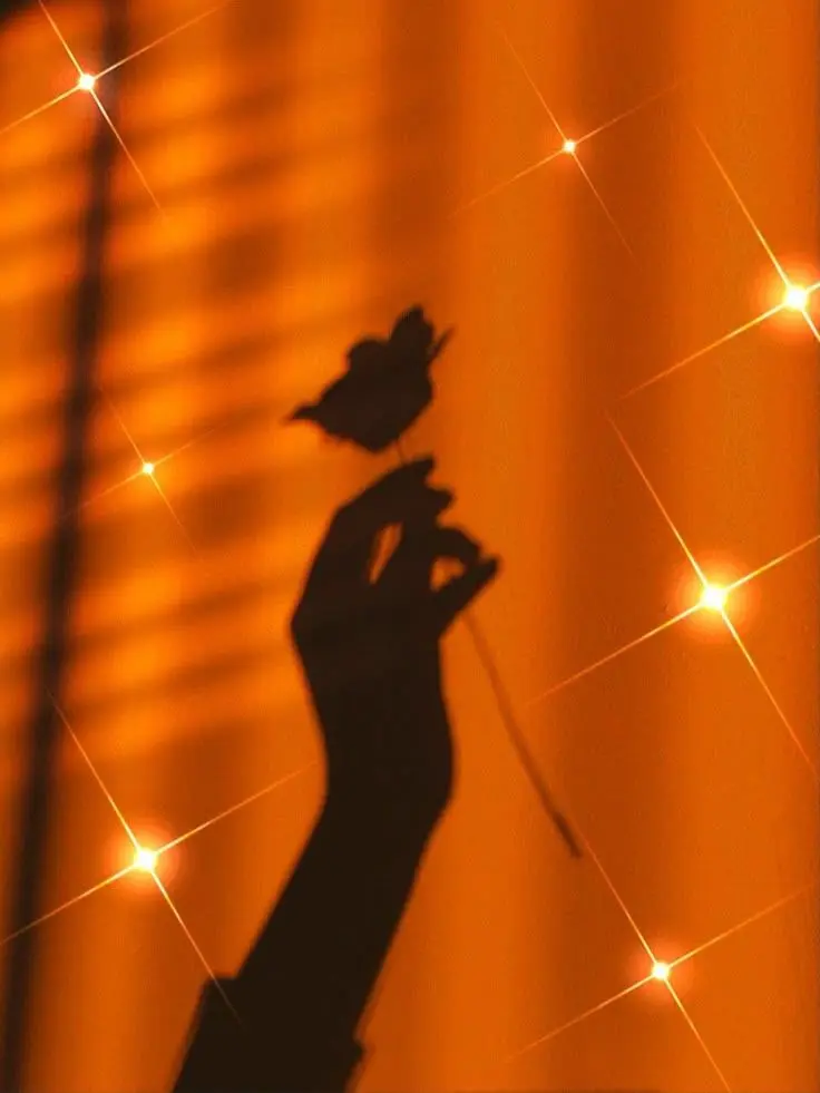 Hinomarutaun의 思い出してくれる?