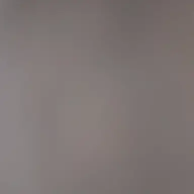 Profile image of 교장선생님