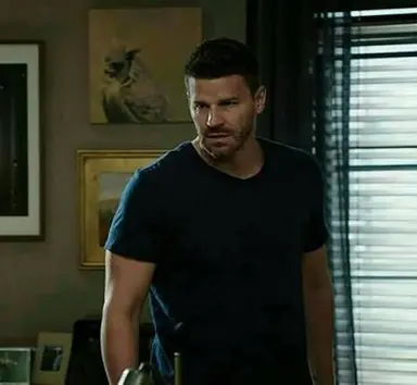 Profile image of David Boreanaz
