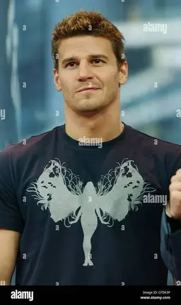 Profile image of David Boreanaz