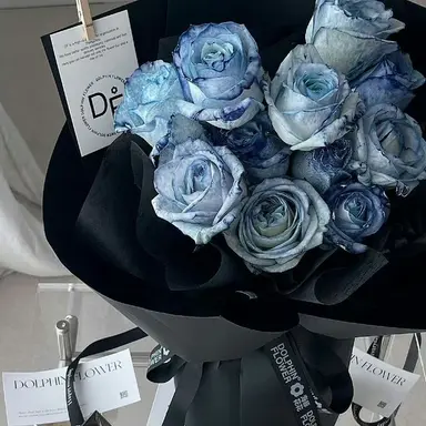 Profile image of 이로 클라우드