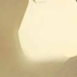 Profile image of 아사쿠라 신