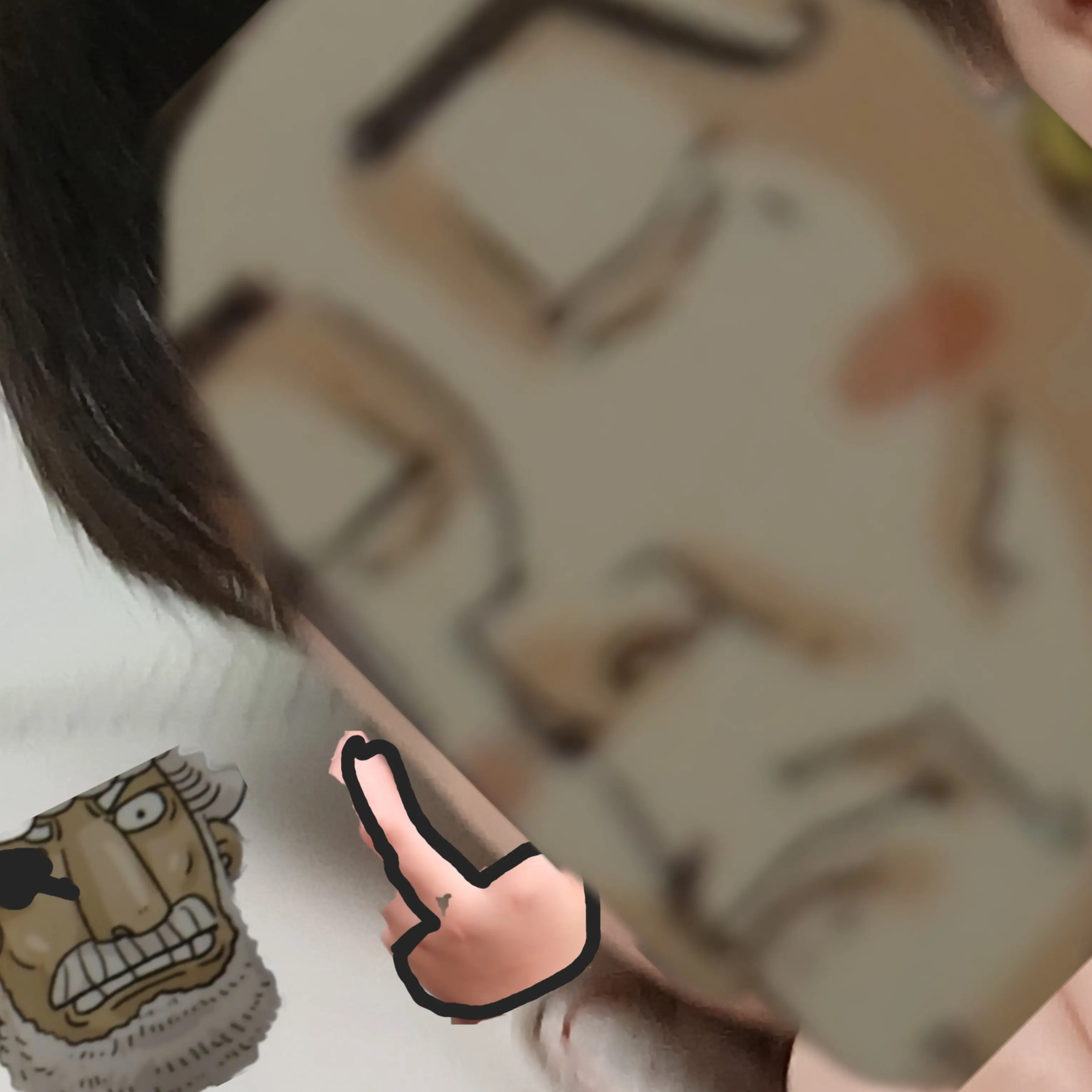 FlushGhost6964의 왕잼민