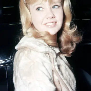 Profile image of Nancy Wart