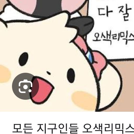 비마이펫 대표 이미지