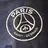 PSG 구단주
