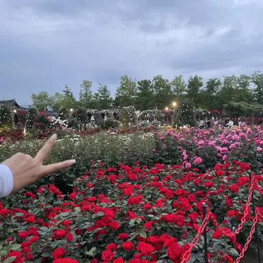 Profile image of 피터 파커