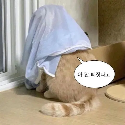 MeagerHeat0734의 F5