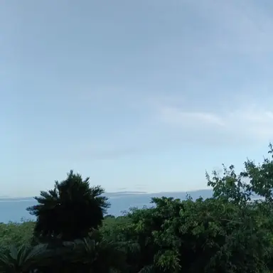 Profile image of 沖田総悟